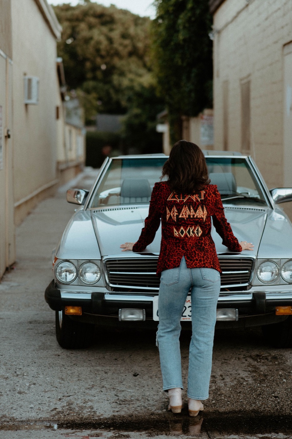 Def Leppard leopard — on location